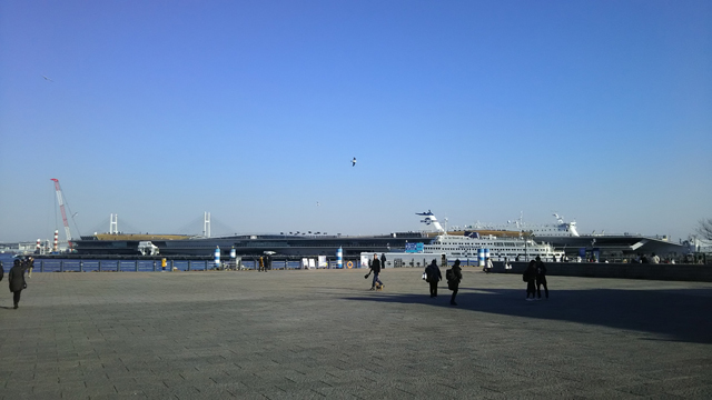 DSC_0056.JPG