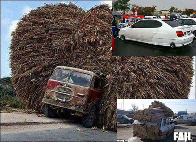 onlyinafrica.jpg
